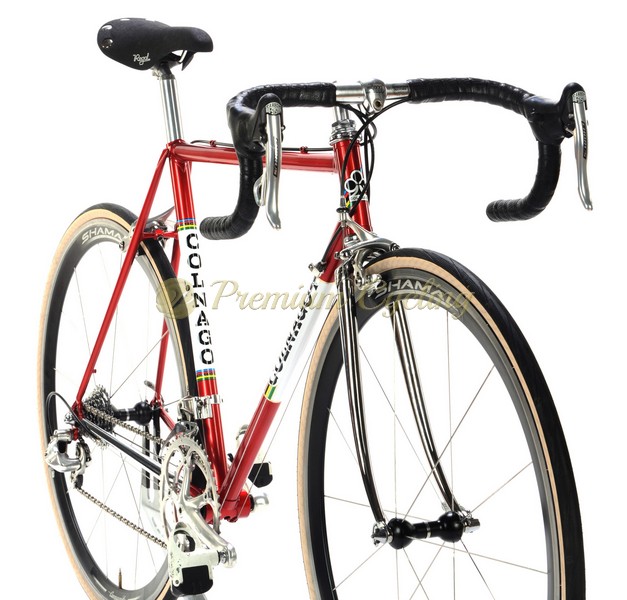 COLNAGO Super Saronni, Campagnolo Shamal, neo retro bike, 54cm
