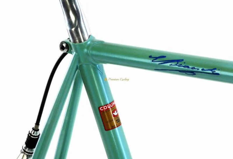 BIANCHI TSX Reparto Corse, Campagnolo C Record Delta 8s 1992 64cm