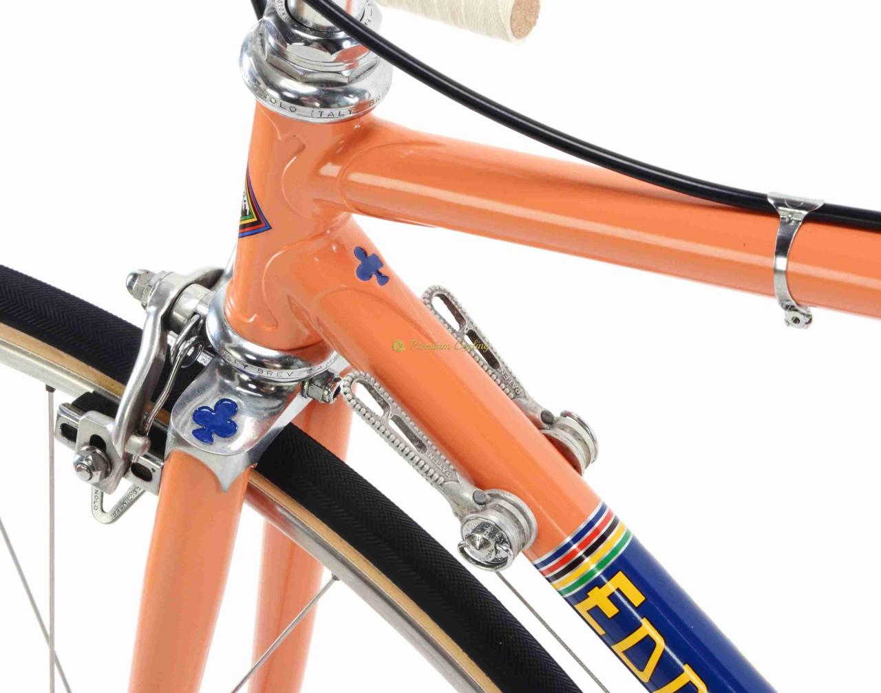 COLNAGO Eddy Merckx Molteni, Campagnolo Nuovo Record, 51cm (1973) + vintage Molteni jersey - Image 5